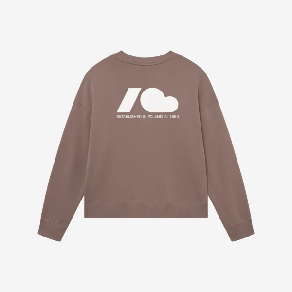 Zdjęcie główne - Bluza regular Move brązowa męska
